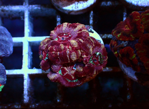 s251004001 (1)