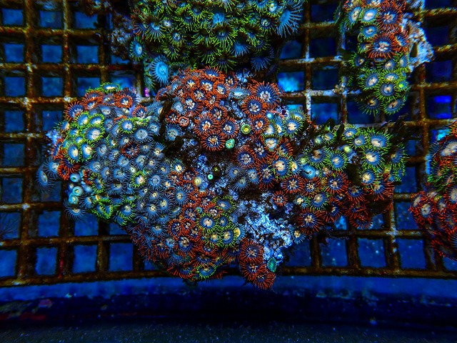 k-260404-11