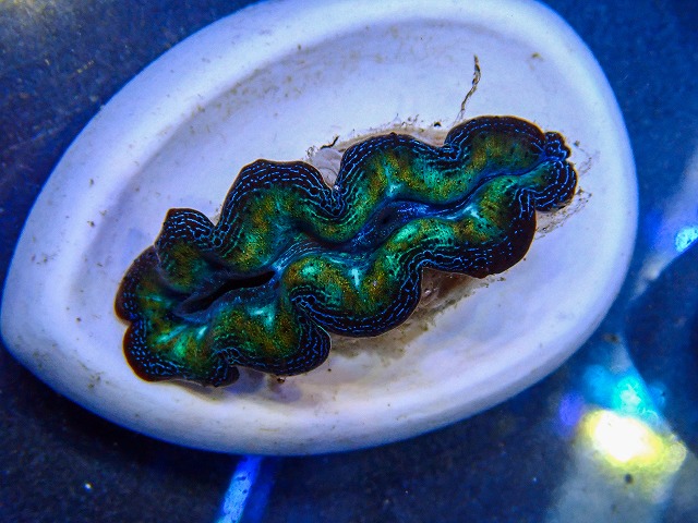 l260409-010