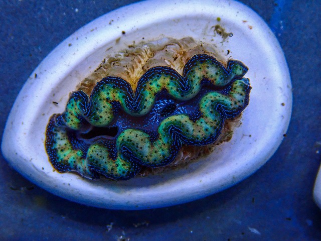 l260409-013