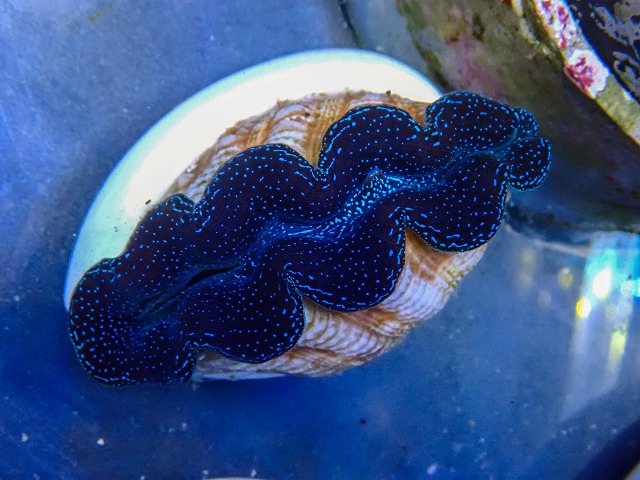 l260409-014
