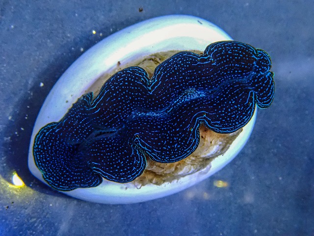l260409-022