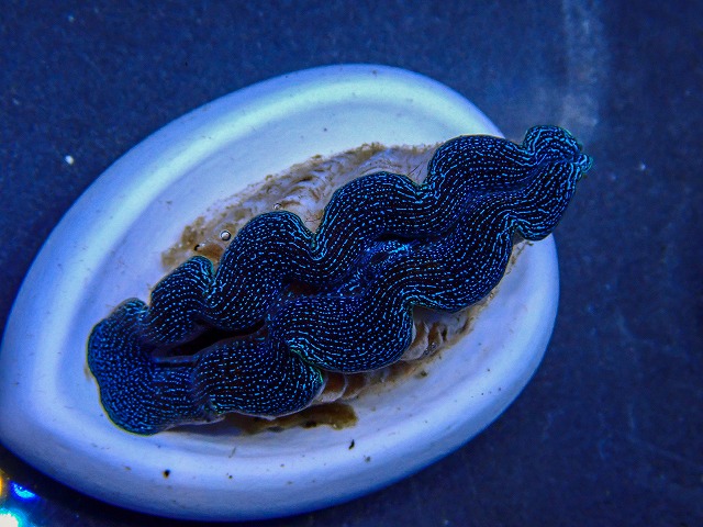 l260409-023