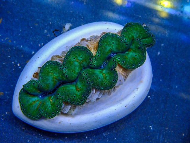 l260409-029