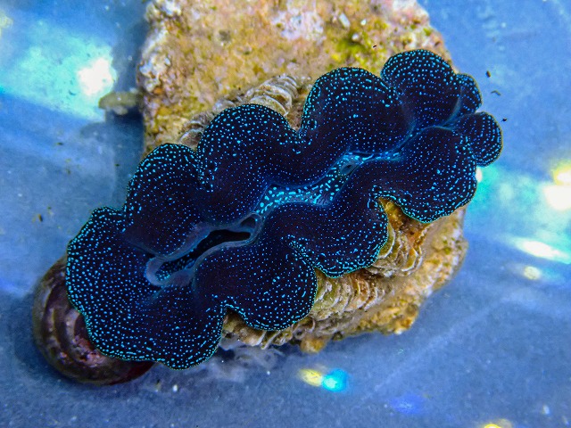 l260409-042