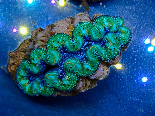 l260409-053