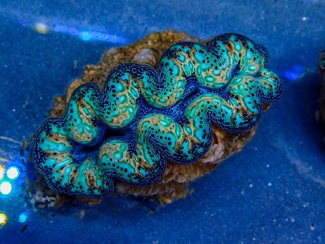 l260409-057