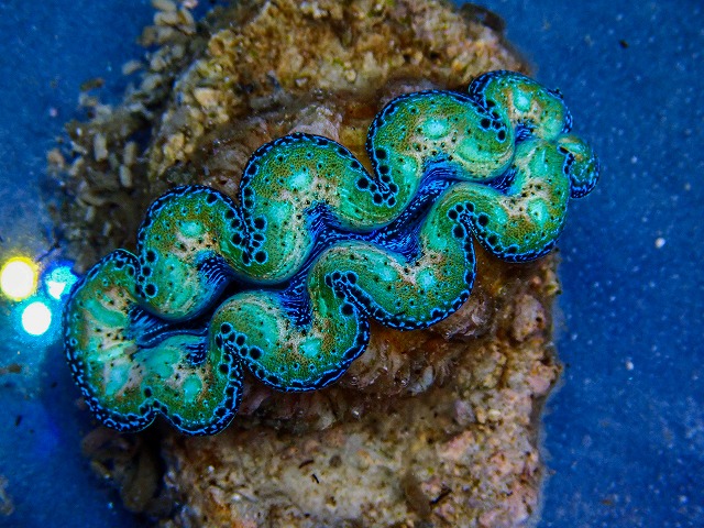 l260409-058