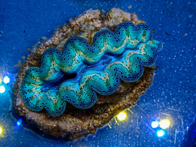l260409-059
