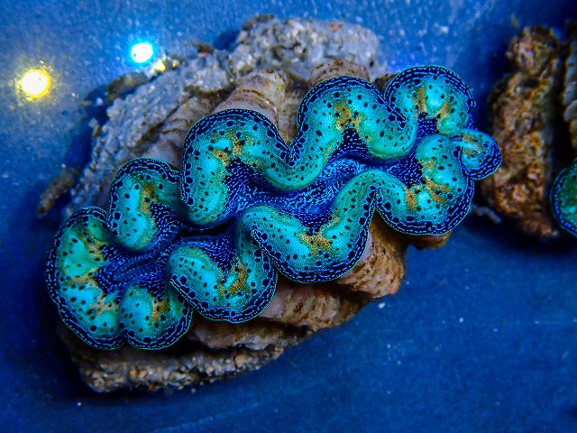 l260409-060