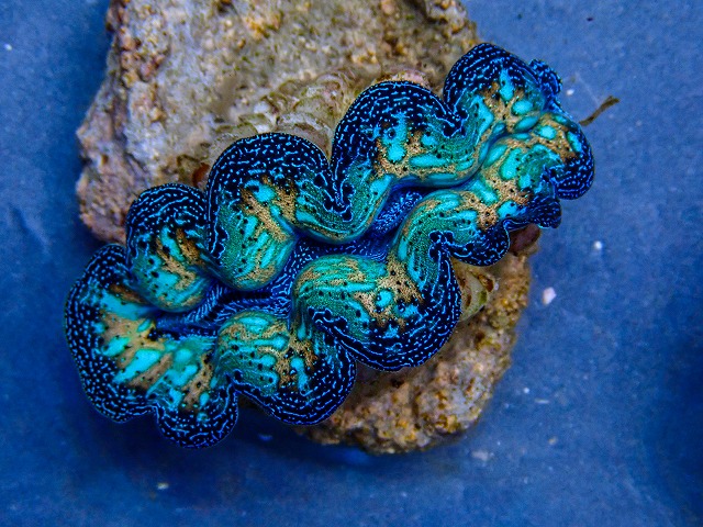l260409-062