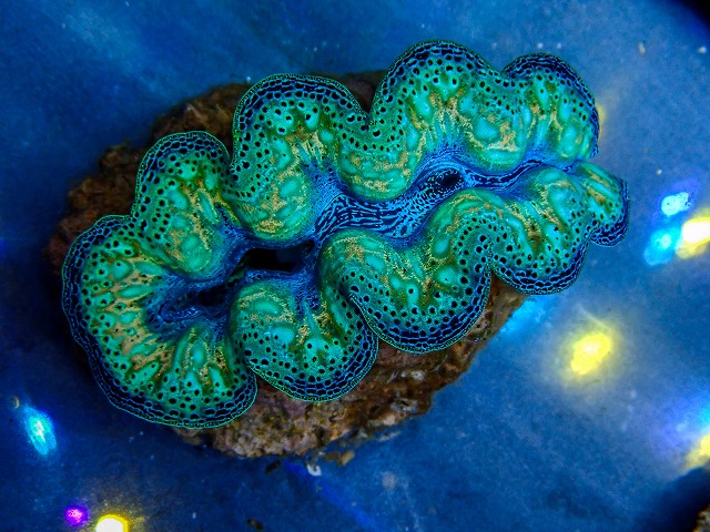 l260409-063