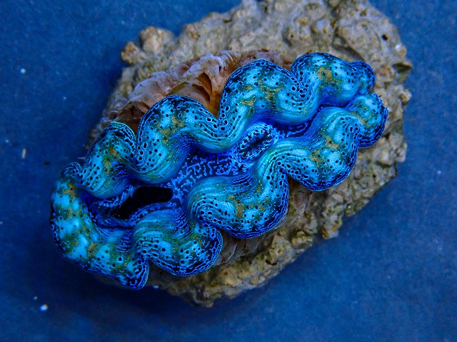 l260409-069