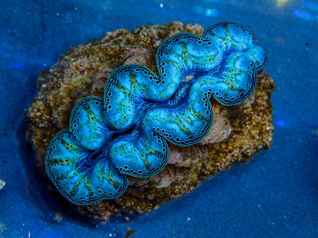 l260409-071