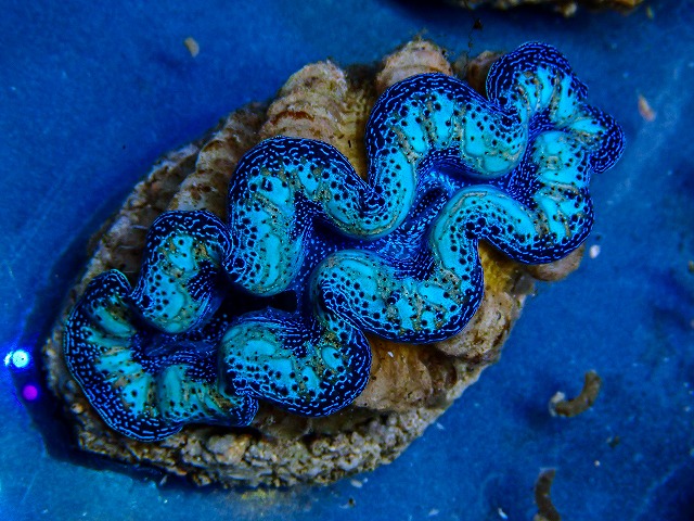 l260409-073