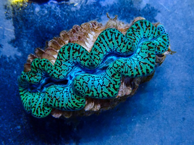l260409-090