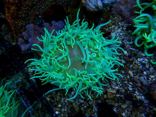 l260409-095