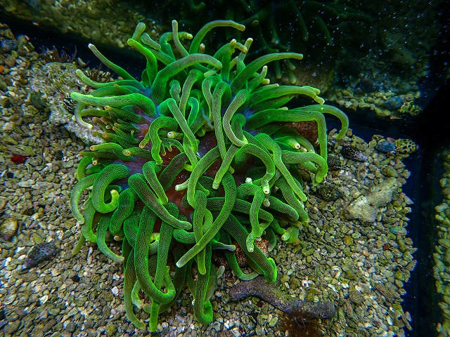 l260409-099