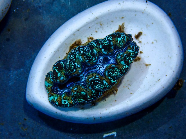 l260416-03