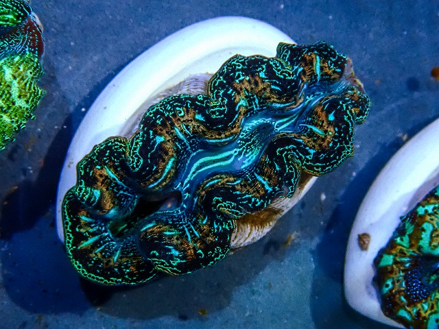 l260416-05