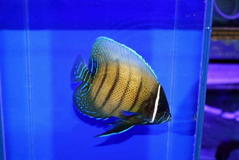 c260508307