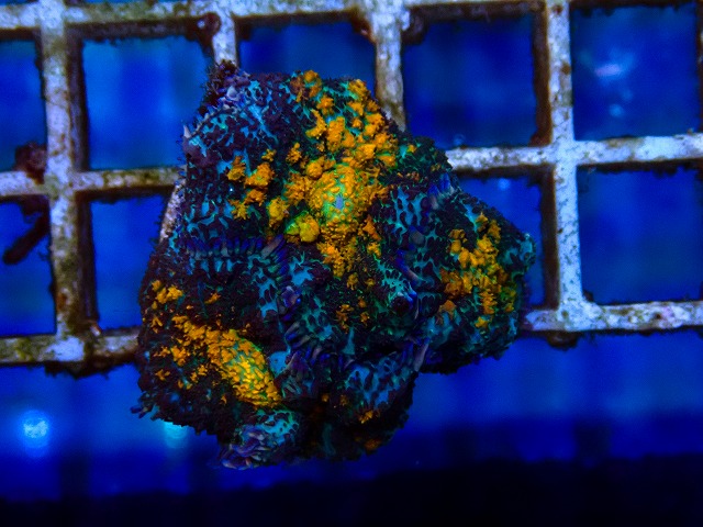 l260515-021