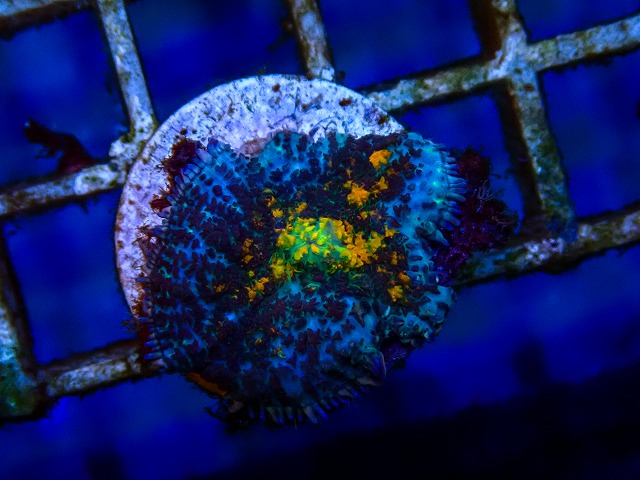 l260515-022