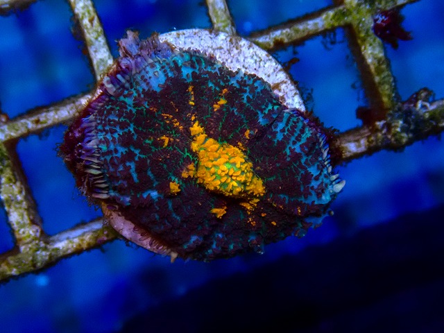 l260515-023