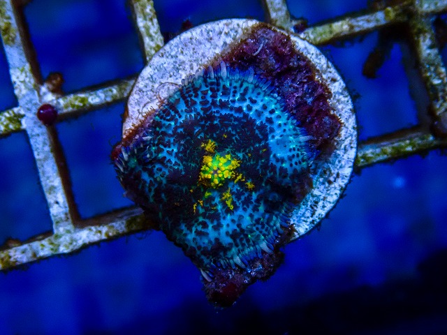 l260515-024