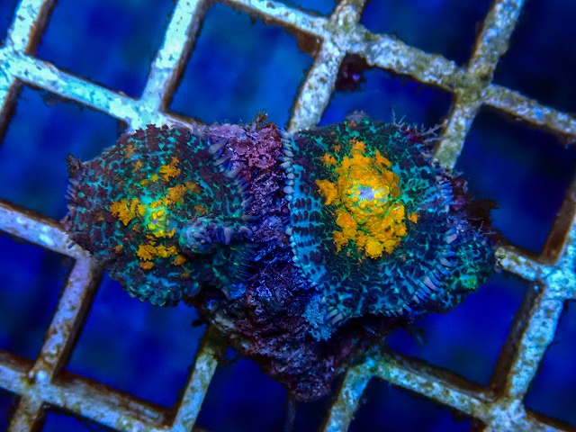 l260515-030