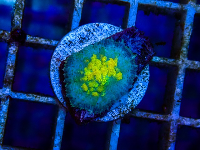 l260515-032