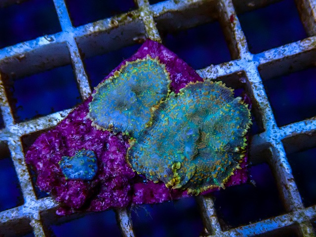 l260515-040