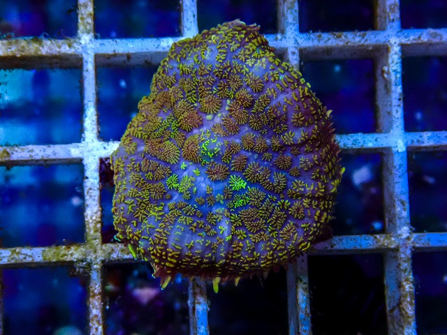 l260515-044