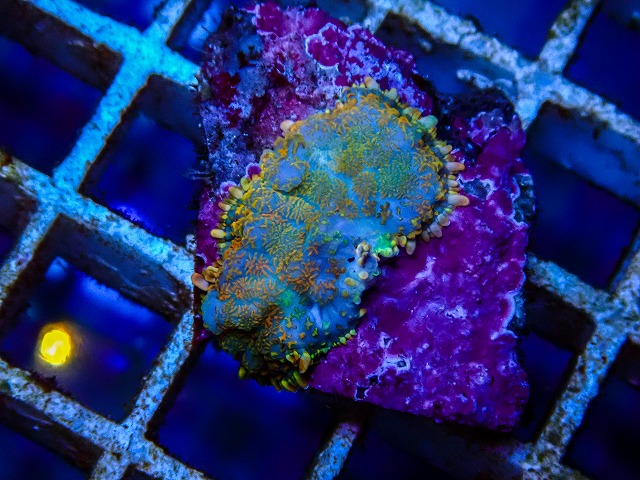 l260515-047