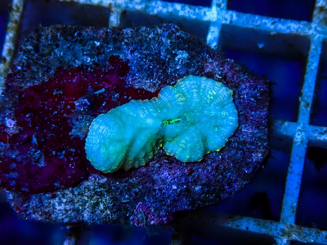 l260515-050