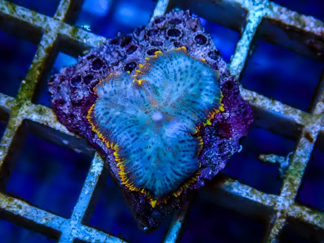 l260515-057