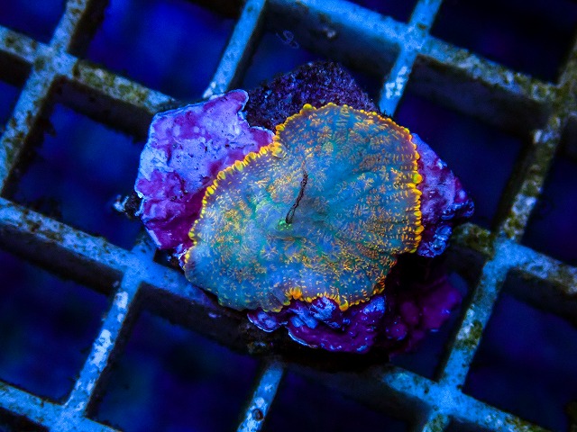 l260515-058