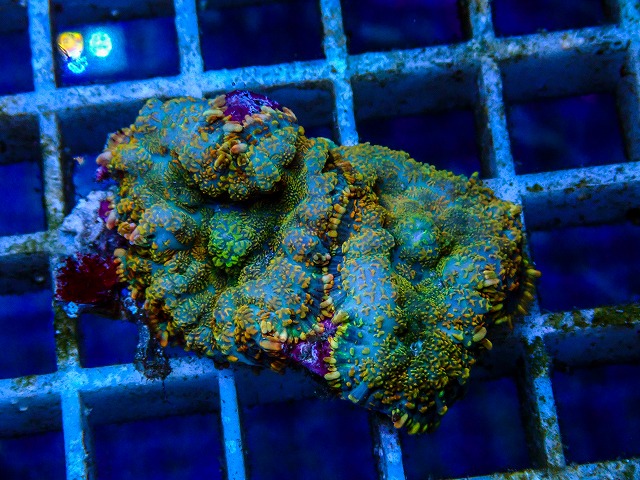 l260515-068