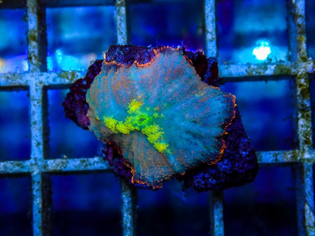l260515-071