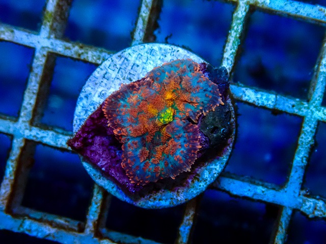 l260515-072