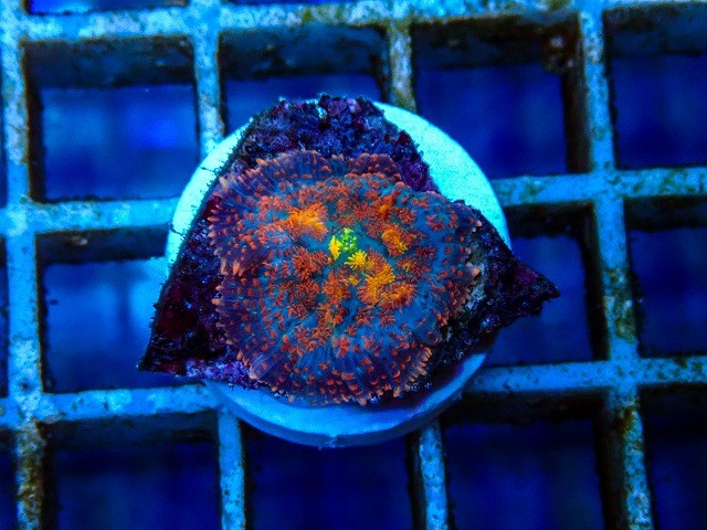 l260515-074