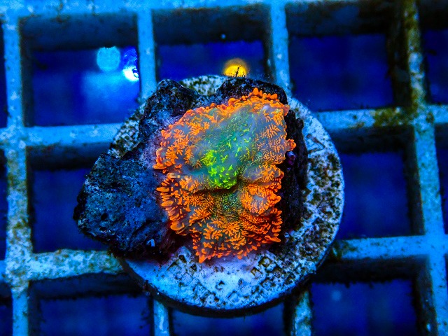 l260515-076