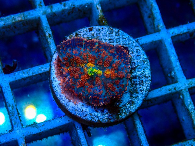 l260515-079