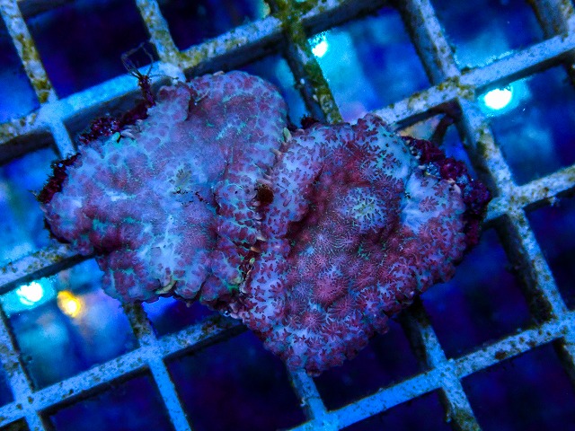 l260515-087