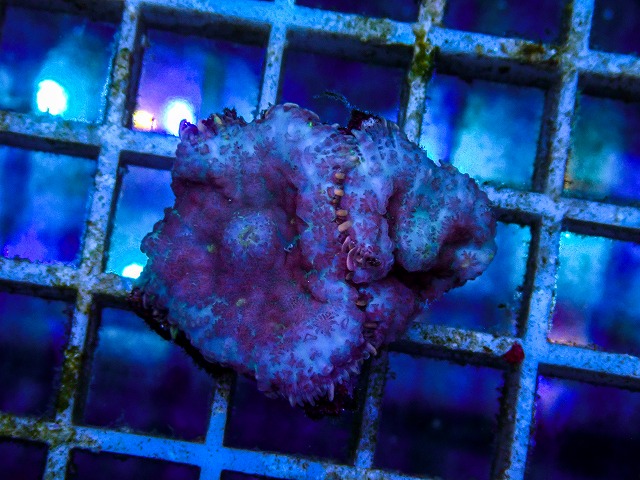 l260515-088