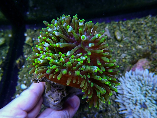 l260515-1