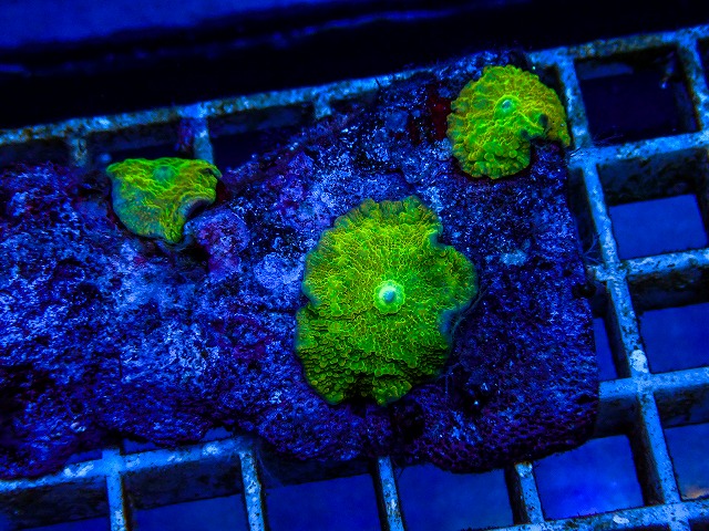 l260515-108