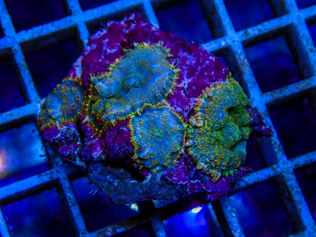 l260515-112