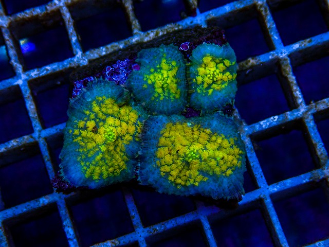 l260515-128