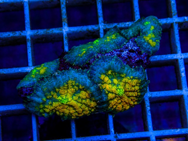 l260515-129